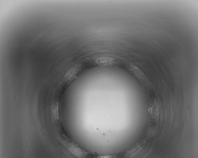 X0000060580717200511101656