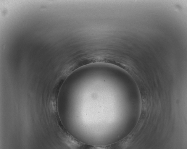 X0000060580718200511101656