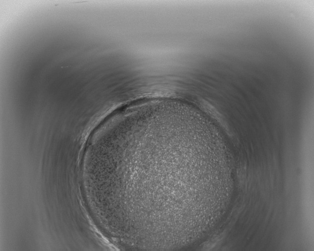 X0000060580721200511101655