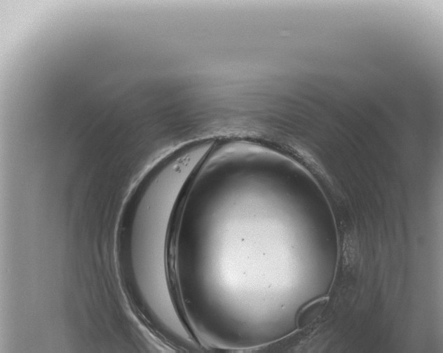 X0000060580722200511101655