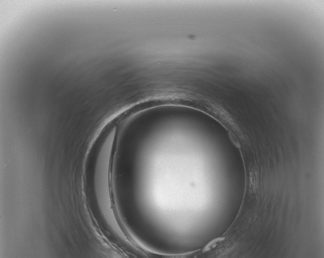 X0000060580724200511101655