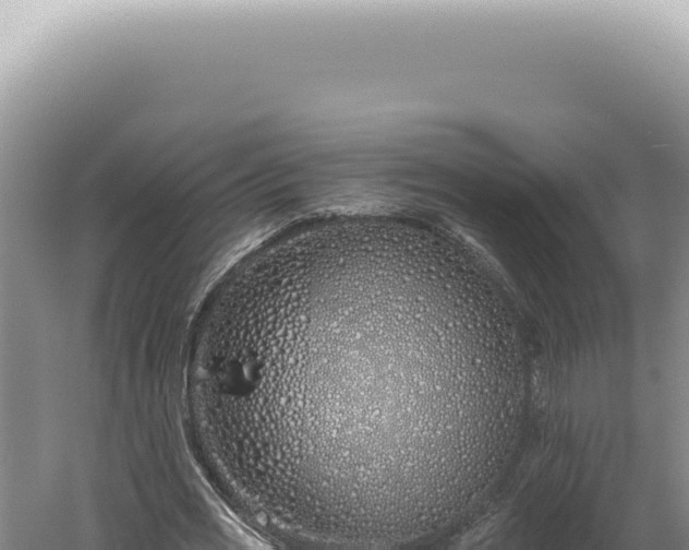 X0000060580725200511101655