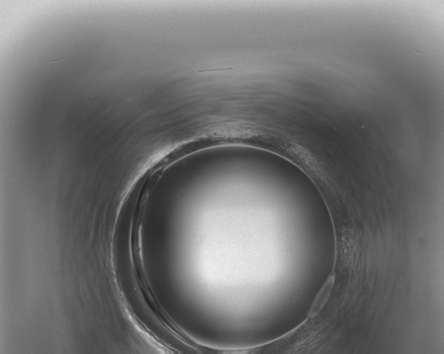 X0000060580726200511101655