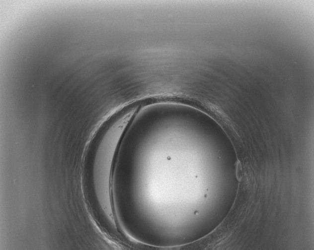 X0000060580728200511101655