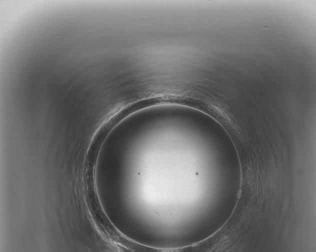 X0000060580730200511101655