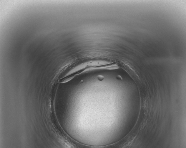 X0000060580733200511101655