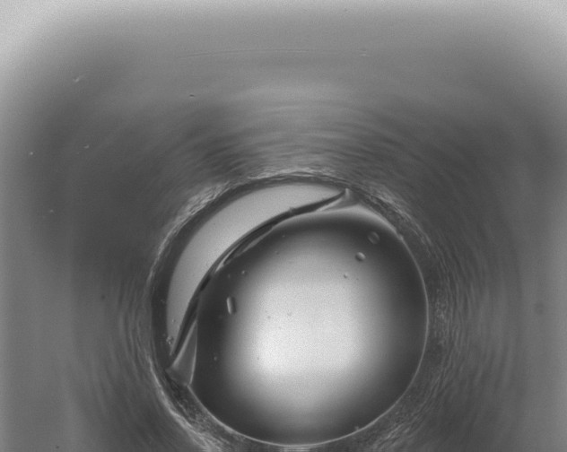 X0000060580734200511101655