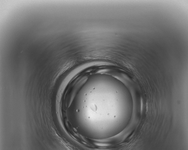 X0000060580735200511101655