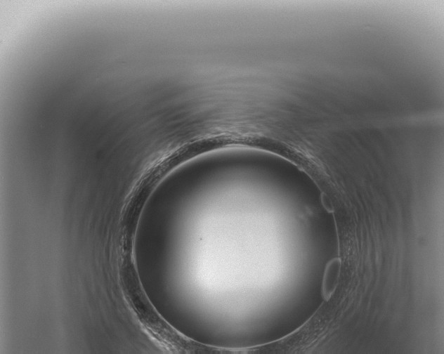 X0000060580736200511101655