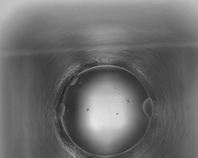 X0000060580738200511101655