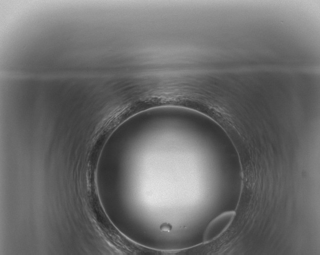 X0000060580740200511101655