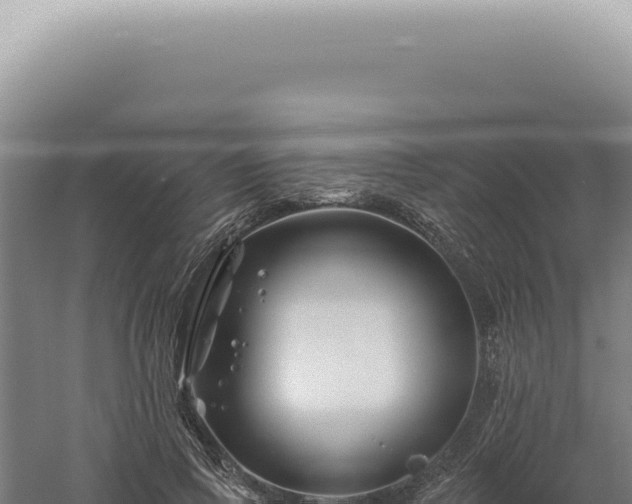 X0000060580741200511101655