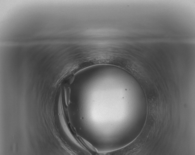 X0000060580742200511101655