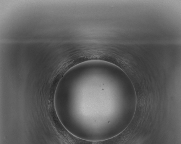 X0000060580743200511101655