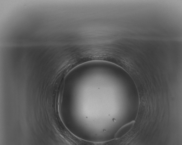 X0000060580744200511101655