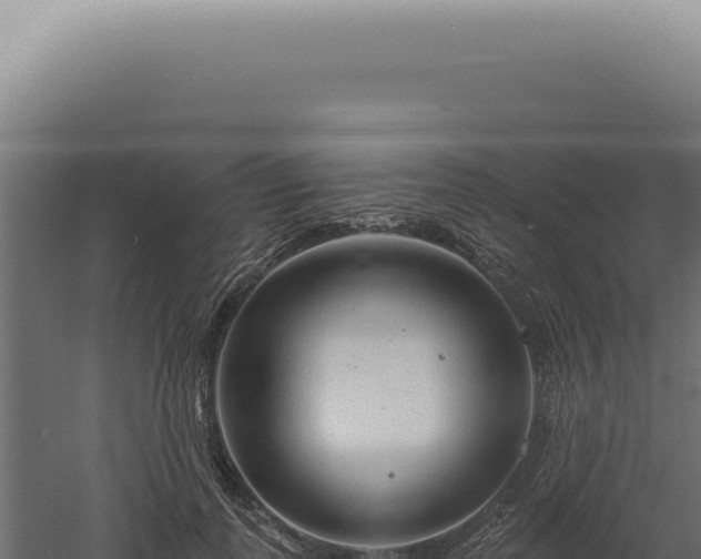 X0000060580747200511101655