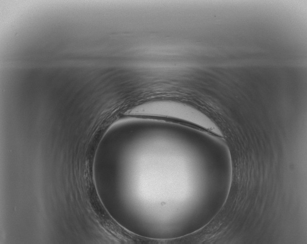 X0000060580748200511101655