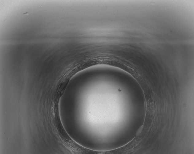 X0000060580750200511101655