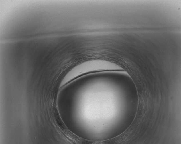 X0000060580752200511101656