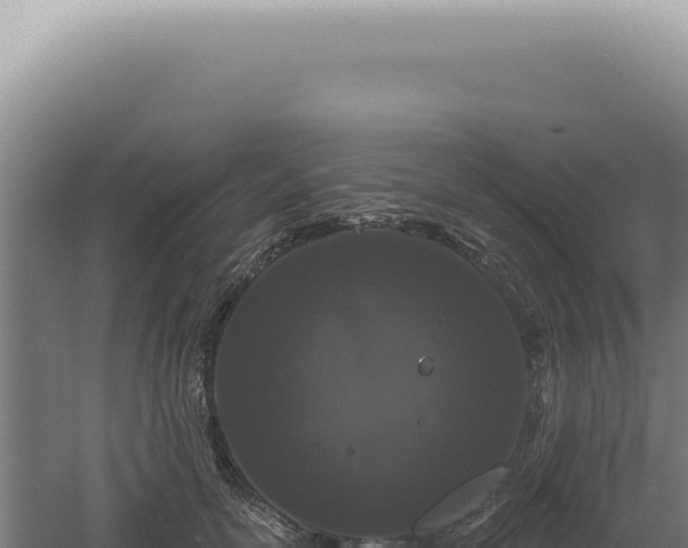 X0000060580754200511101656