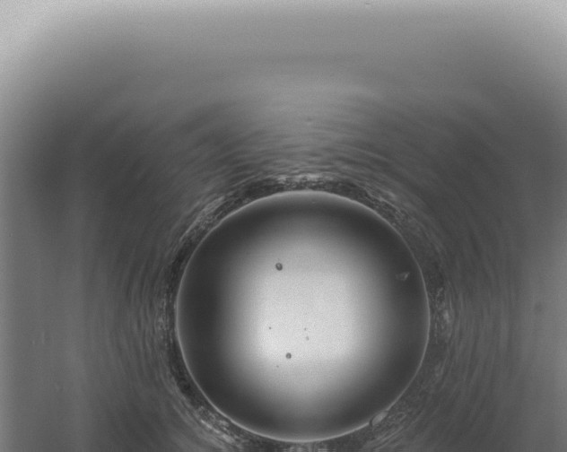 X0000060580756200511101656