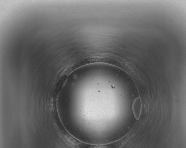 X0000060580758200511101656