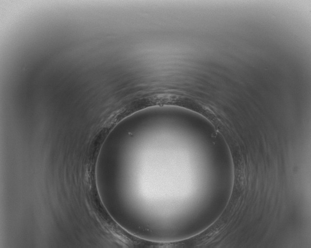 X0000060580759200511101656