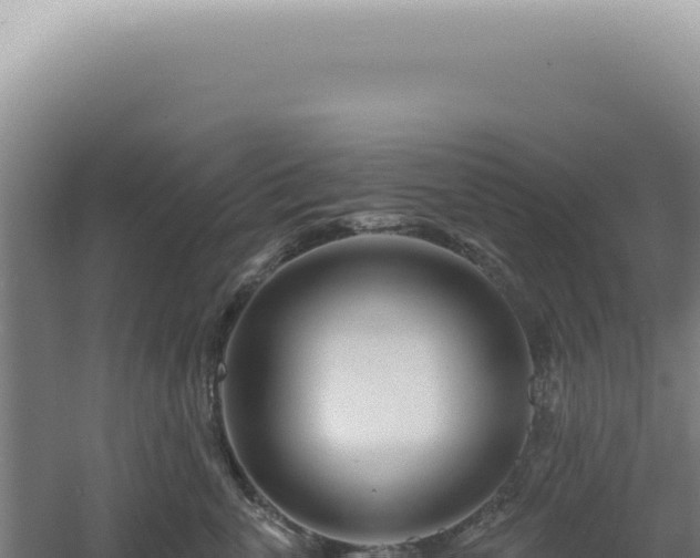 X0000060580763200511101656