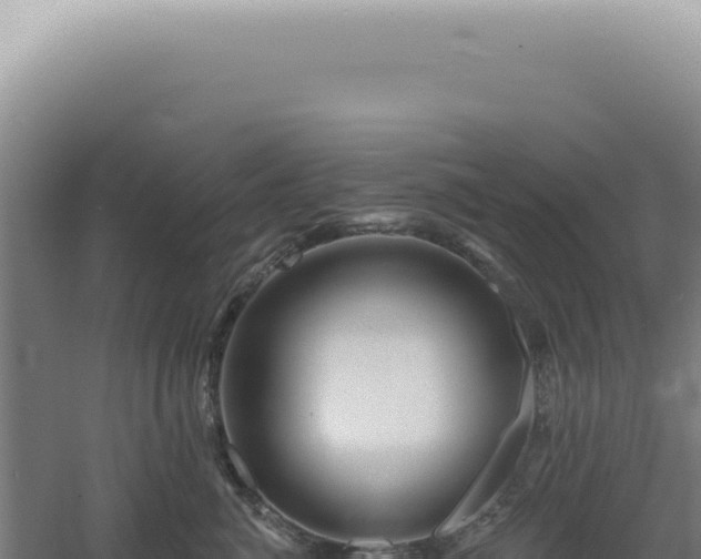 X0000060580764200511101656