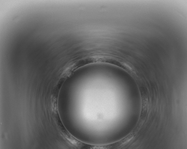 X0000060580766200511101656