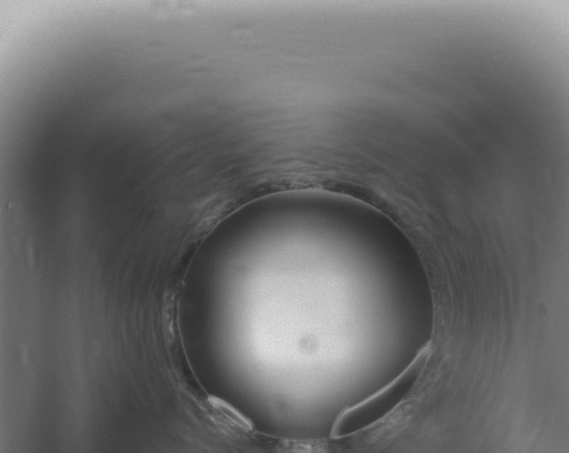 X0000060580768200511101656