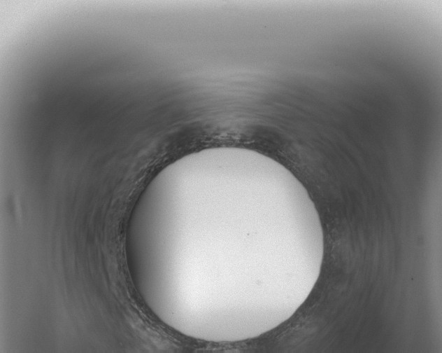 X0000060580769200511101655