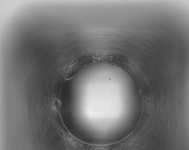 X0000060580770200511101655