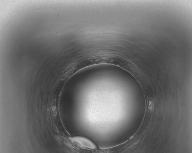 X0000060580771200511101655