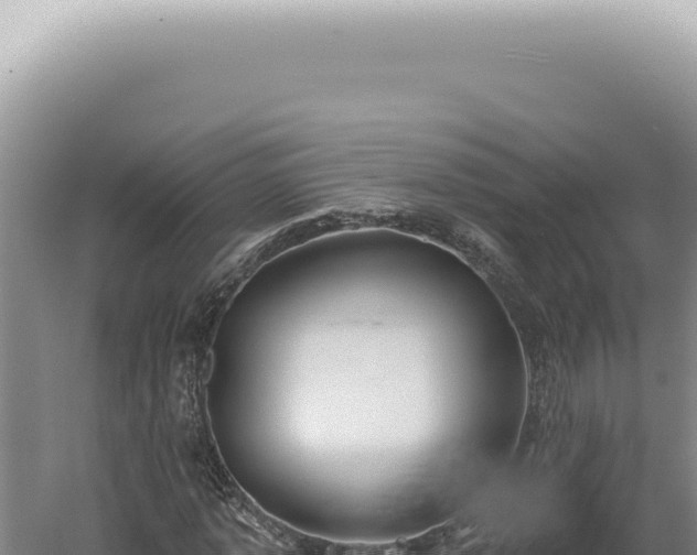 X0000060580773200511101655