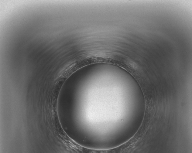 X0000060580774200511101655