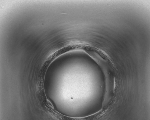 X0000060580775200511101655