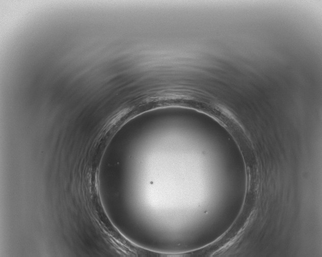 X0000060580777200511101655