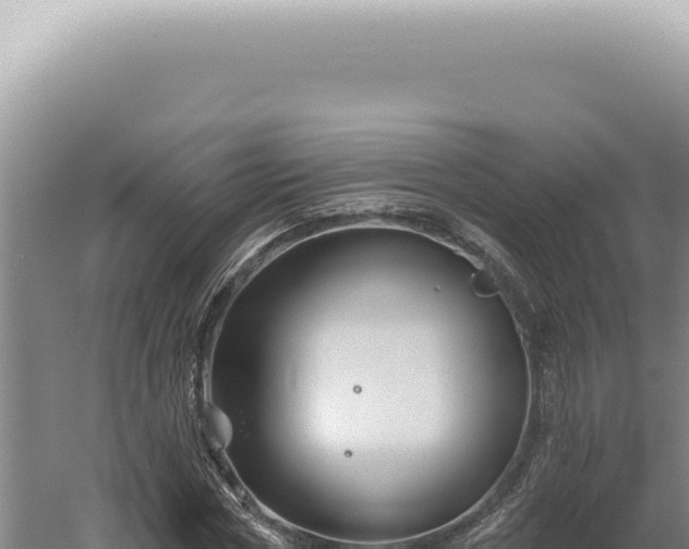 X0000060580778200511101655