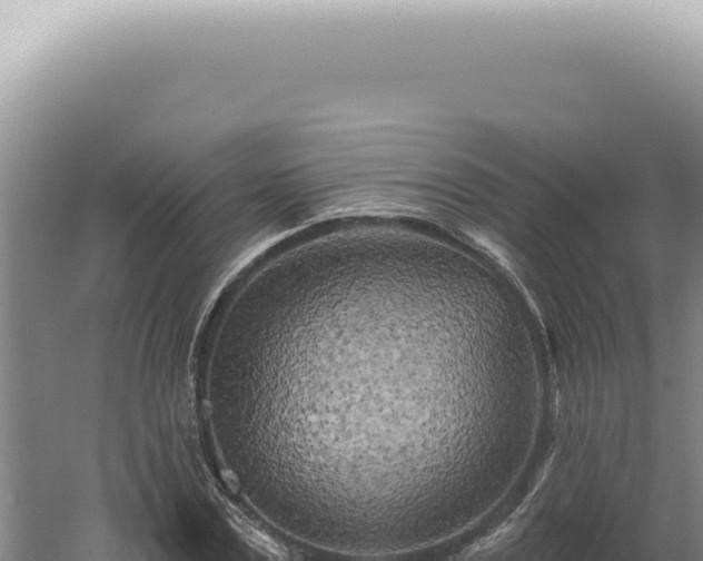 X0000060580779200511101655