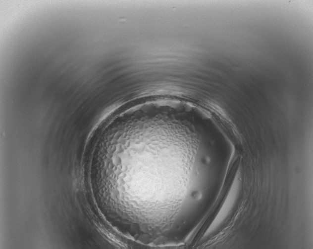 X0000060580780200511101655