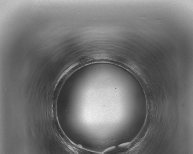 X0000060580782200511101655