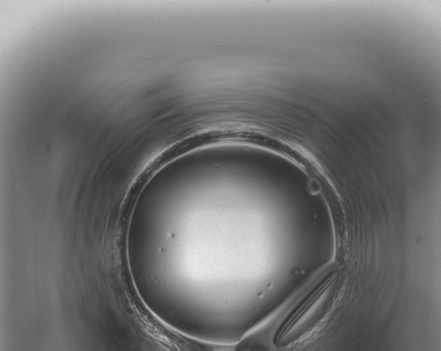 X0000060580783200511101655