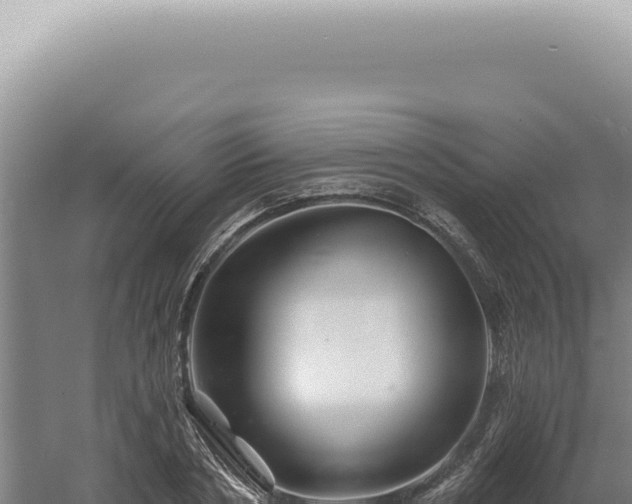 X0000060580786200511101655