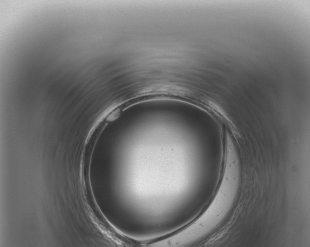 X0000060580788200511101655