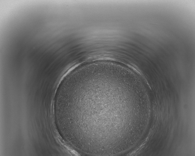 X0000060580790200511101654