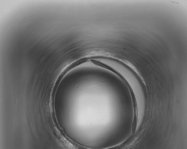 X0000060580791200511101654