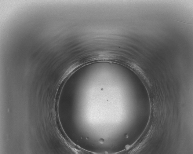 X0000060580794200511101654