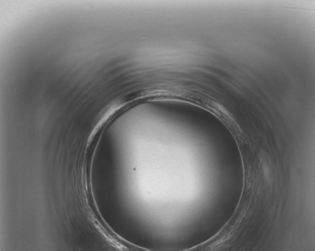 X0000060580796200511101654