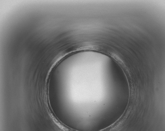 X0000060580800200511101654